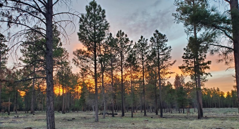 HJ Ranch at Sunset