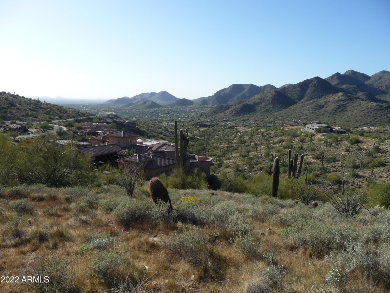 View Into Scottsdale