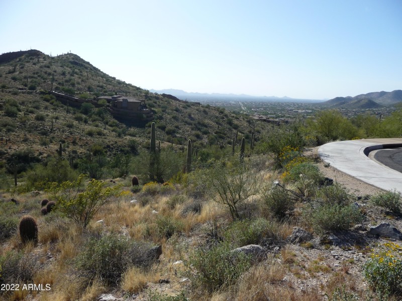 Looking into Scottsdale