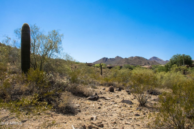 11888 Sunset Vista Lot 38