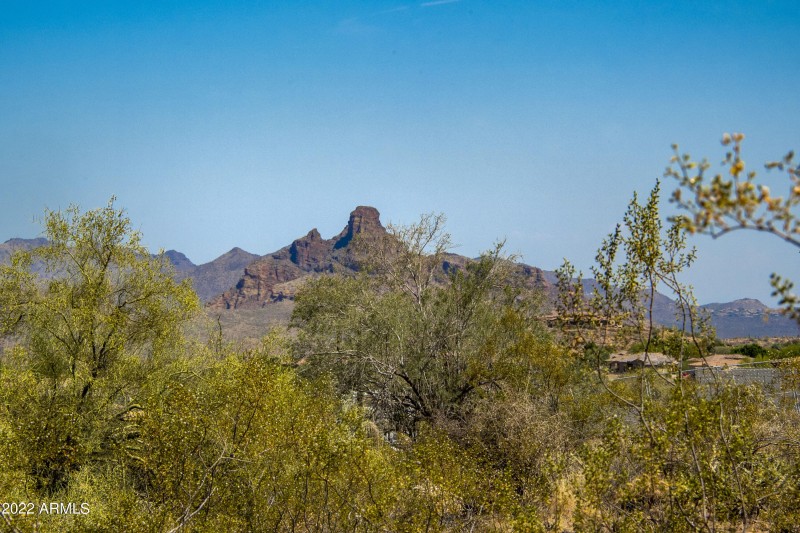 11888 Sunset Vista Lot 38