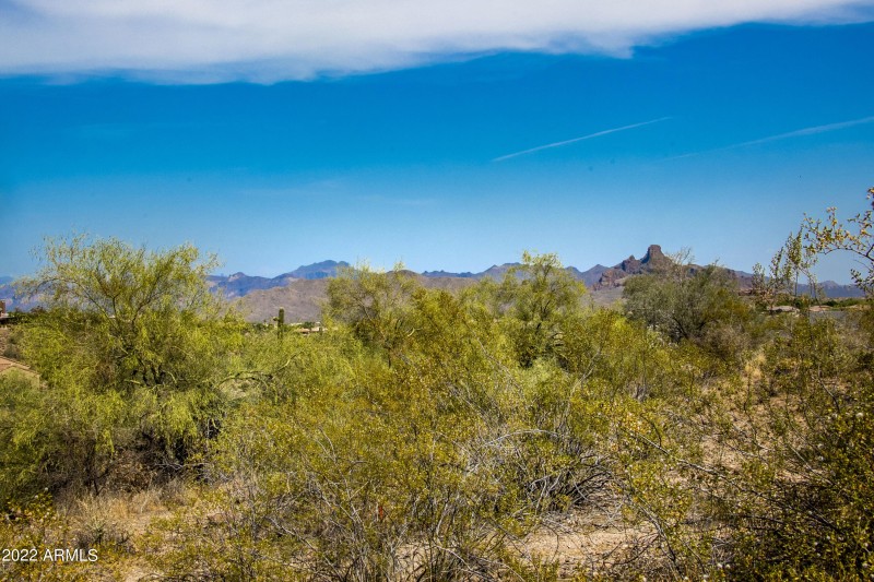 11888 Sunset Vista Lot 38