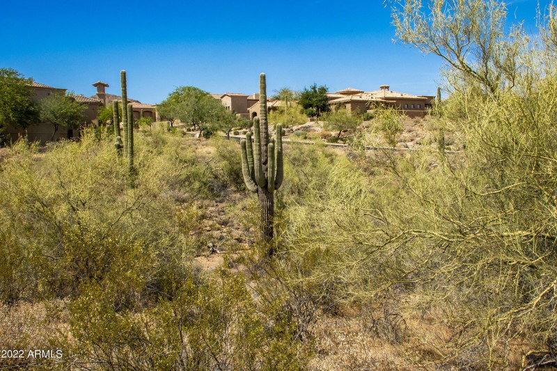 11888 Sunset Vista Lot 38