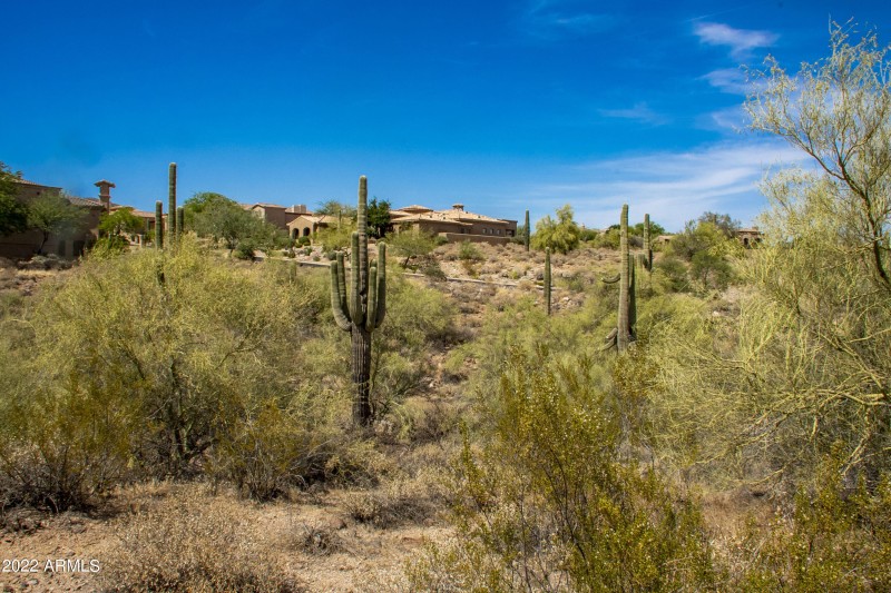 11888 Sunset Vista Lot 38