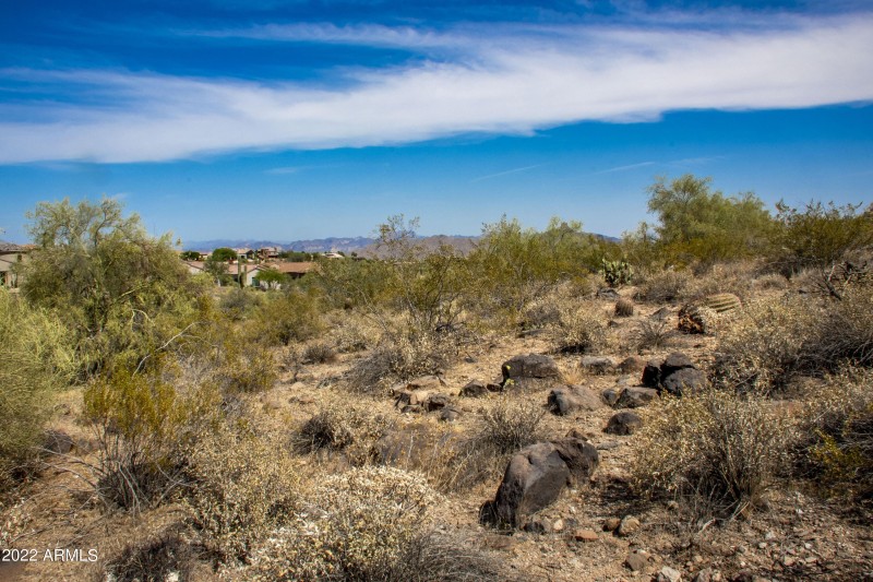 11888 Sunset Vista Lot 38