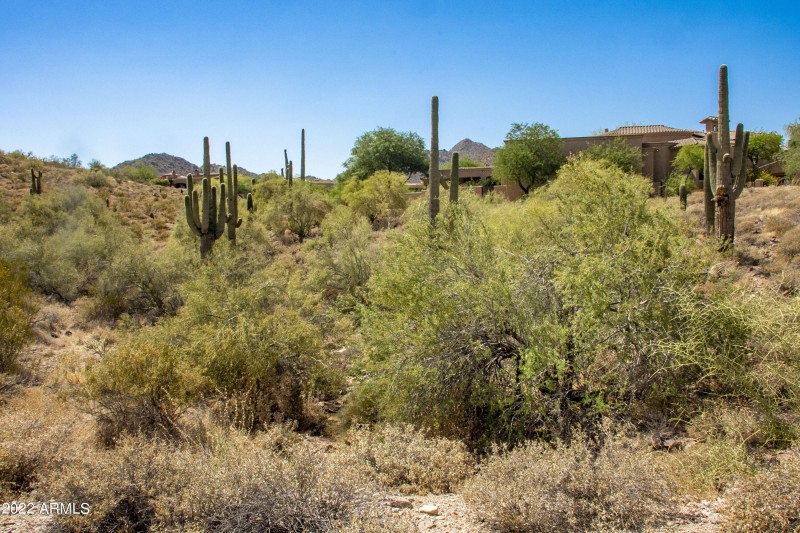 11888 Sunset Vista Lot 38