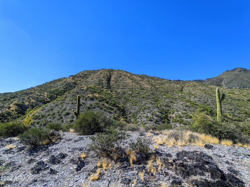 005_The Continentals