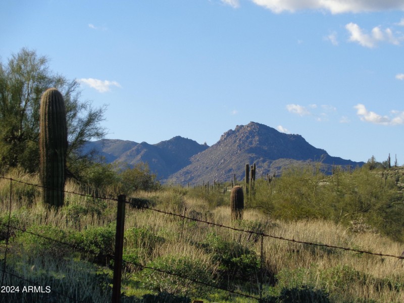 McDowell Mountains