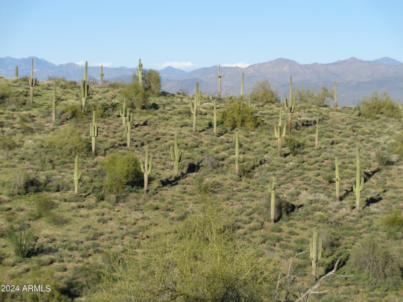 Pristine desert behind lot