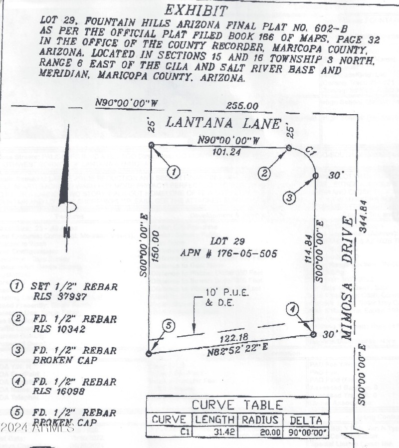 boundary Lantana lot 29