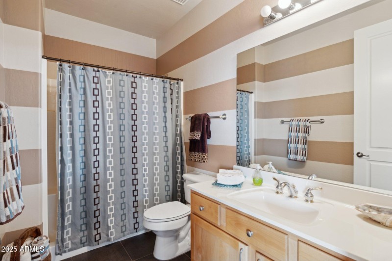 Lower Level Bath