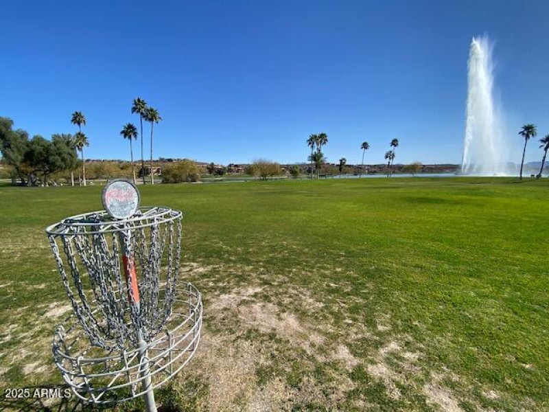 Frisbee Golf