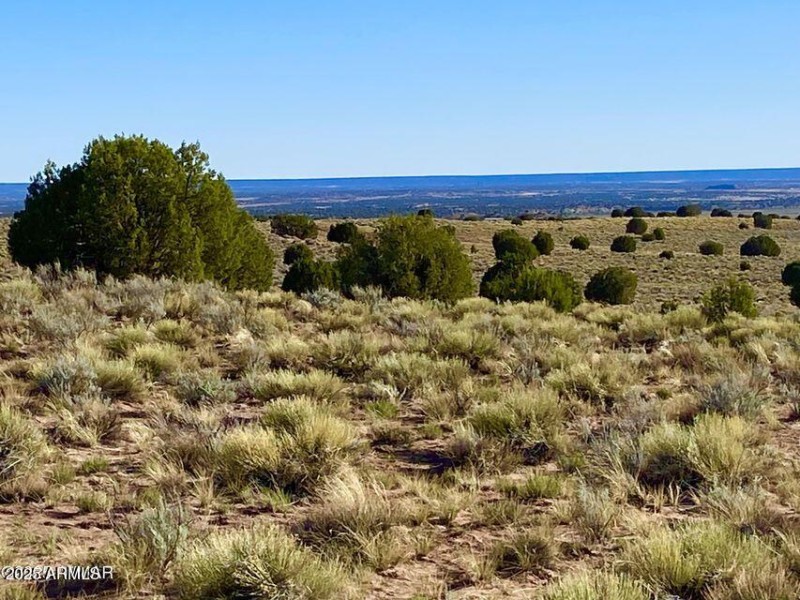 20250526052813066472000000-o