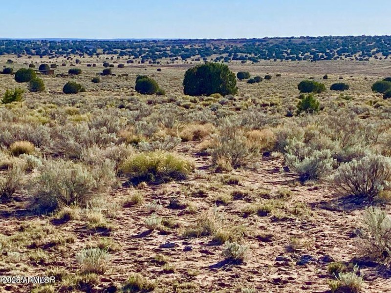 20250526053002313280000000-o