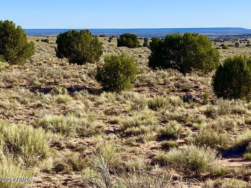 20250526053147320042000000-o