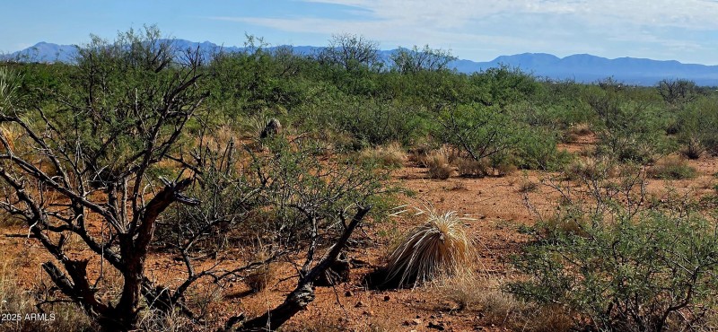 TBD 40 AC Ronald Reagan Parkway