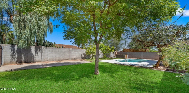 39-web-or-mls-Backyard (GRASS EDIT)7