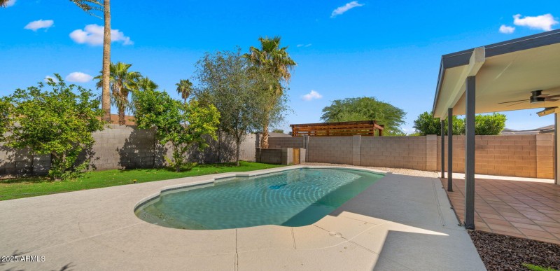 31-web-or-mls-Backyard (GRASS EDIT)3