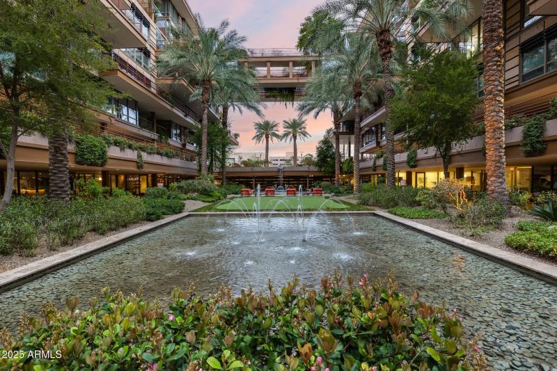 Welcome to Optima Camelview