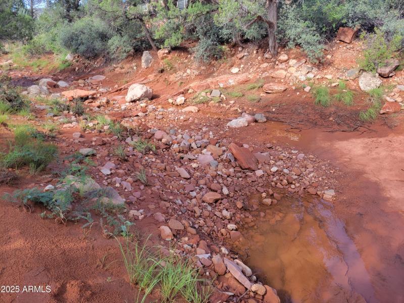 Home to lots of Wildlife