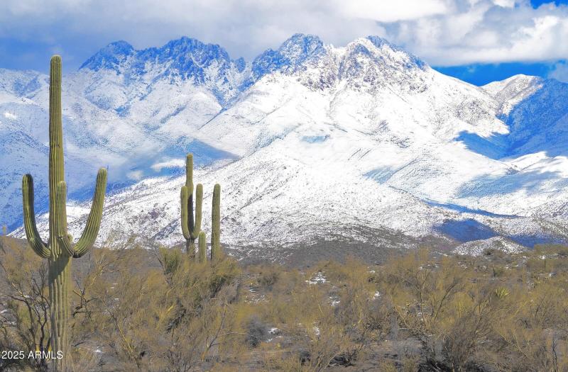 0BCDBB44-92CB-4EB2-A1BD-DCE7D4E2E2F8_1_2