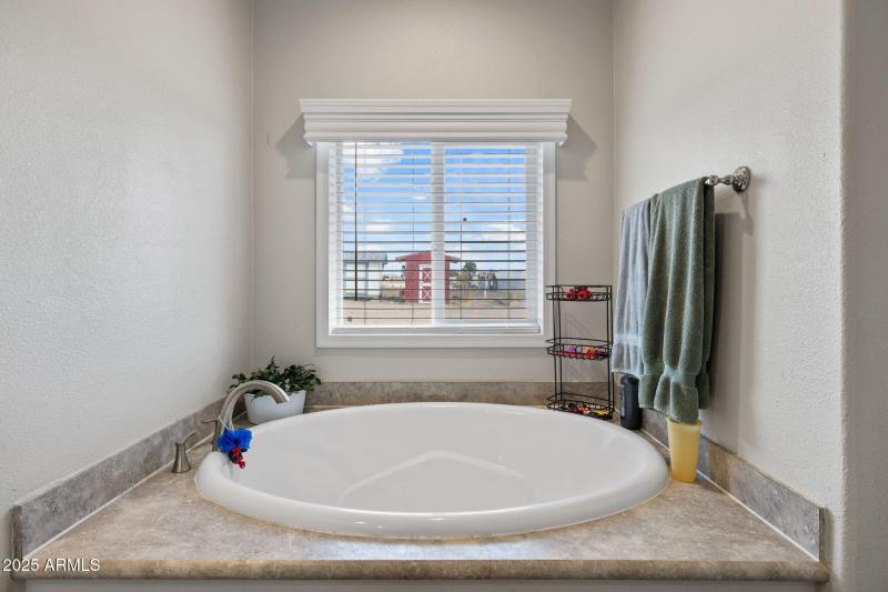 34_169-Primary Closet