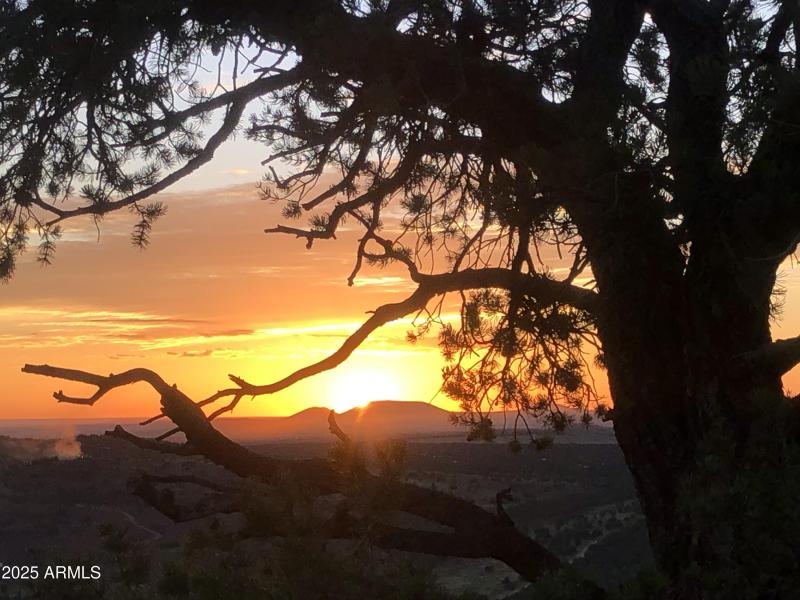 Owners library of stunning photos