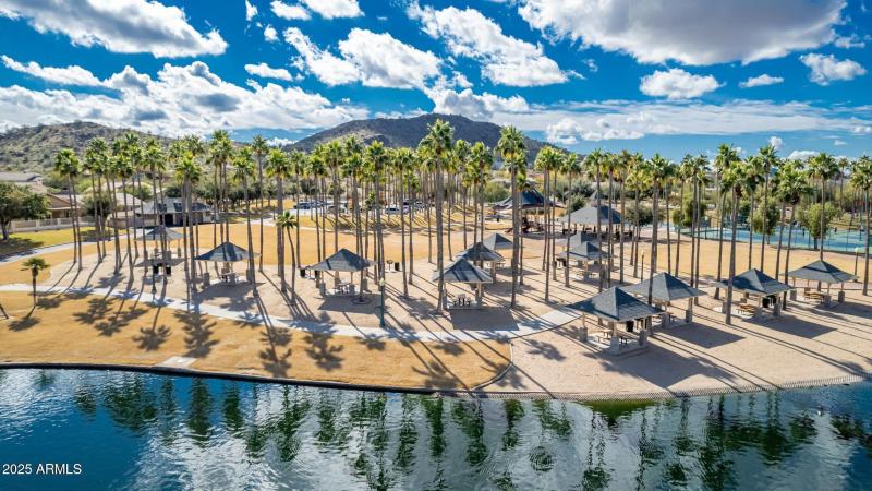 Palm-Lined Park Setting