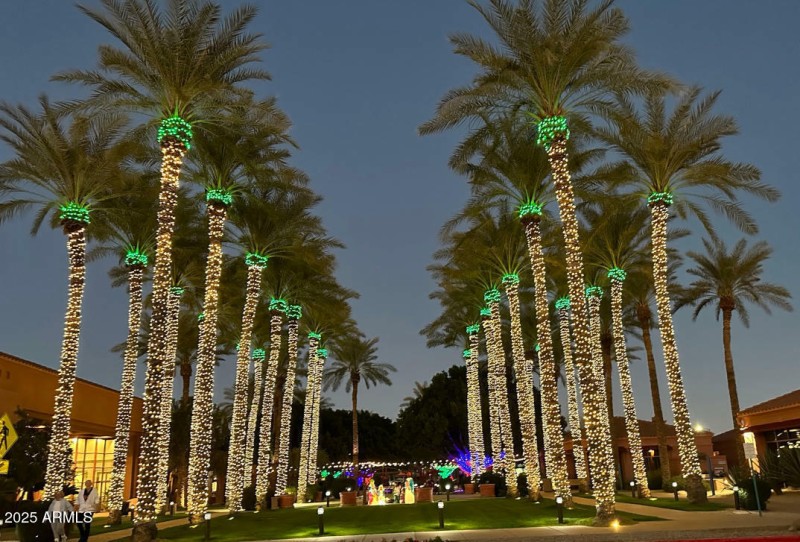 Sun+City+Grand+in+December