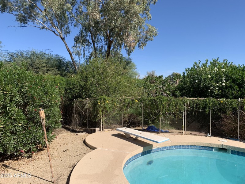 Mature, tropical landscaping