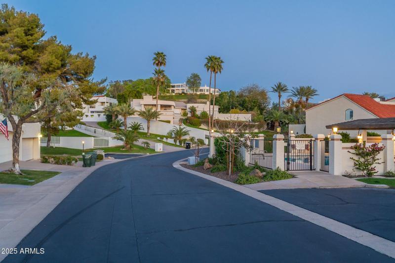 Palo_Verde_-_Twilight-9