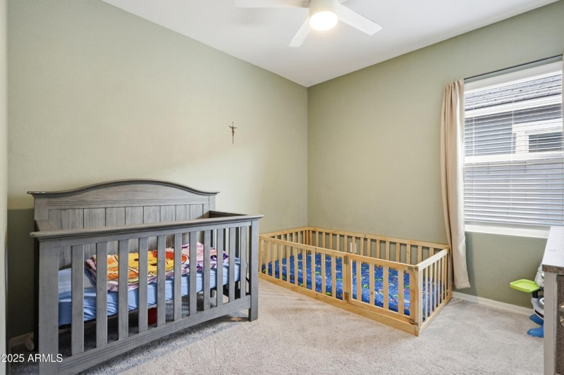 14_photo nov 17 2025, 11 07 31 am (1)