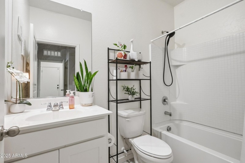 16_photo nov 17 2025, 11 09 56 am (1)