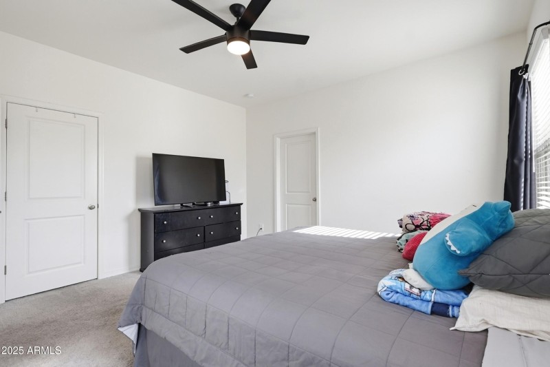 23_photo nov 17 2025, 11 20 54 am (1)