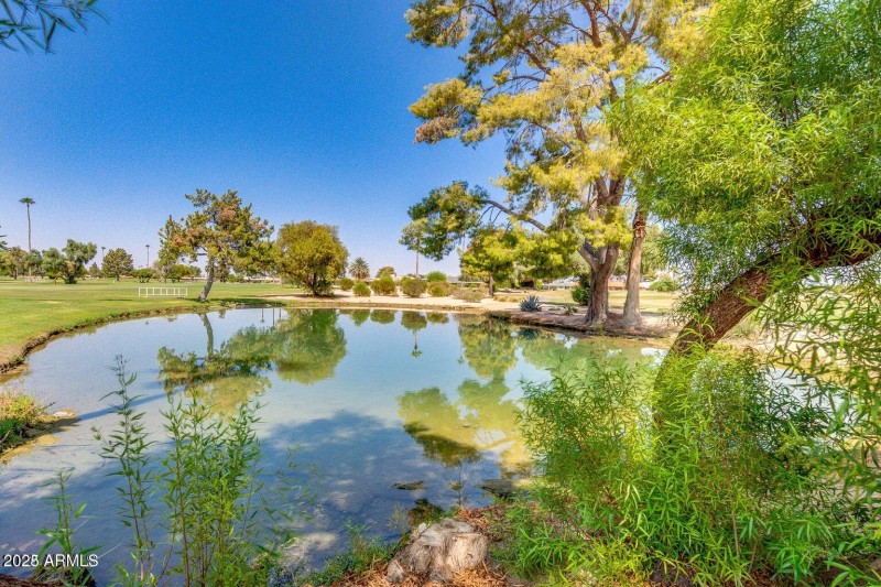 Sun City Golf Lakes views