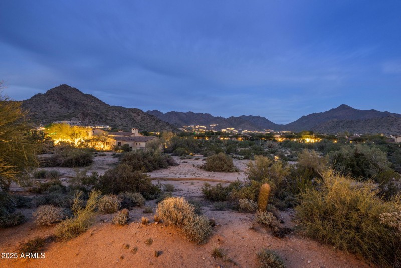 Silverleaf Evening Glow