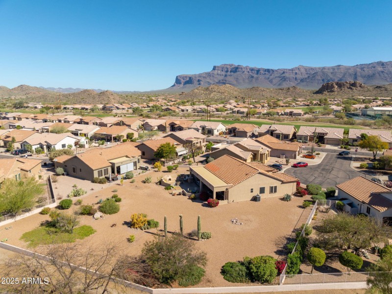 87-web-or-mls-Staghorn Cholla-87
