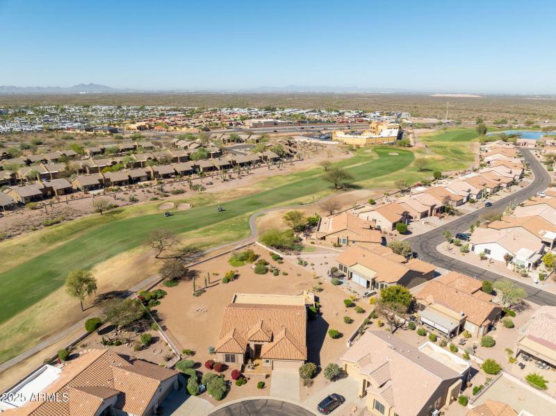92-web-or-mls-Staghorn Cholla-92