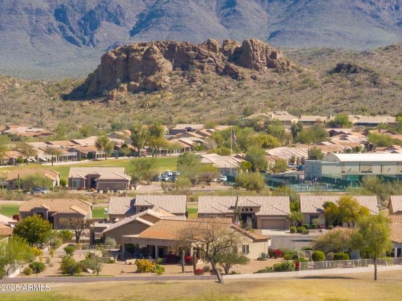 96-web-or-mls-Staghorn Cholla-96