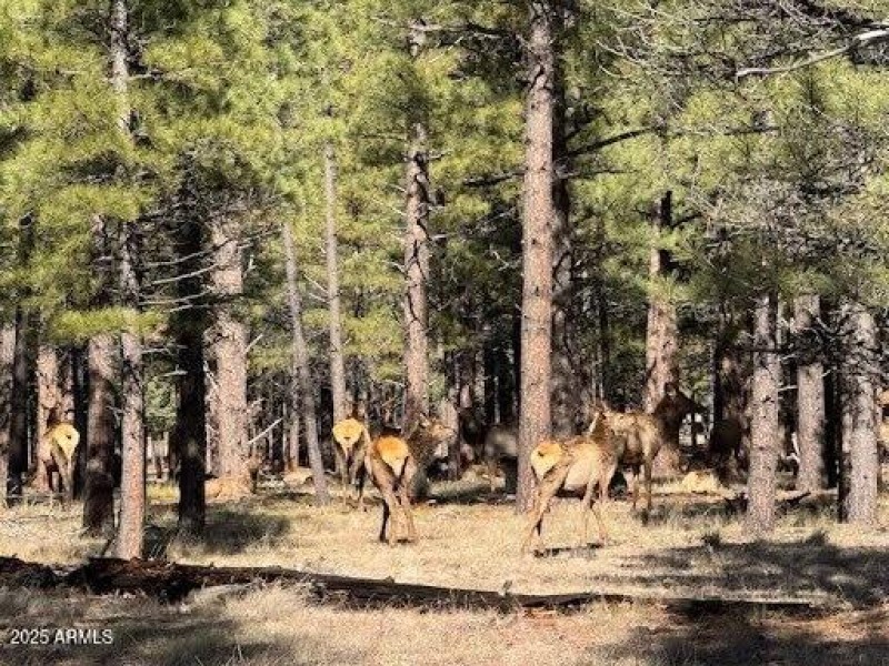 9920f221a589e9847fc0e8da0c400f8454a745d2