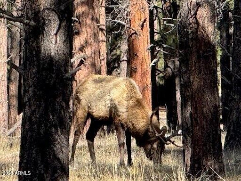 9920f221a589e9847fc0e8da0c400f8454a745d2