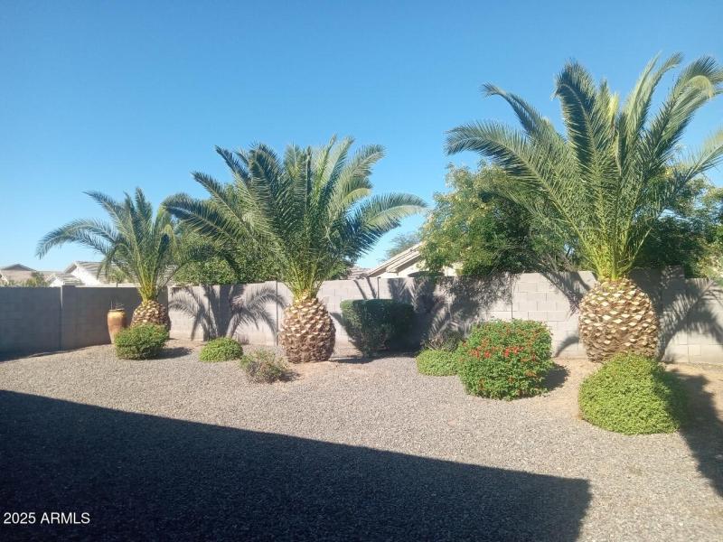 Resized_20251129_122138(1)