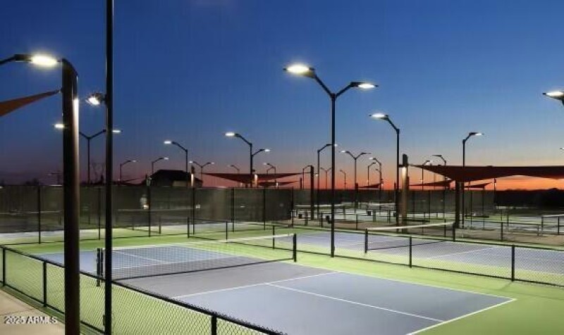 Sun City Festival Pickle Ball