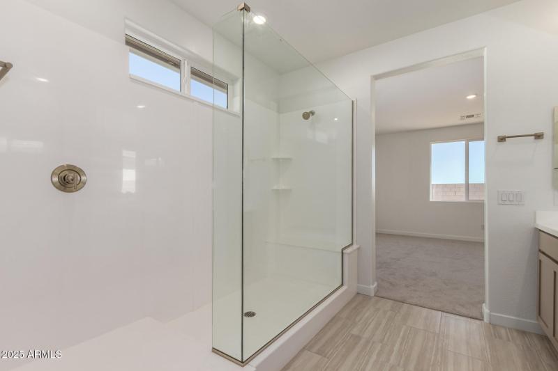 Master Bathroom Shower