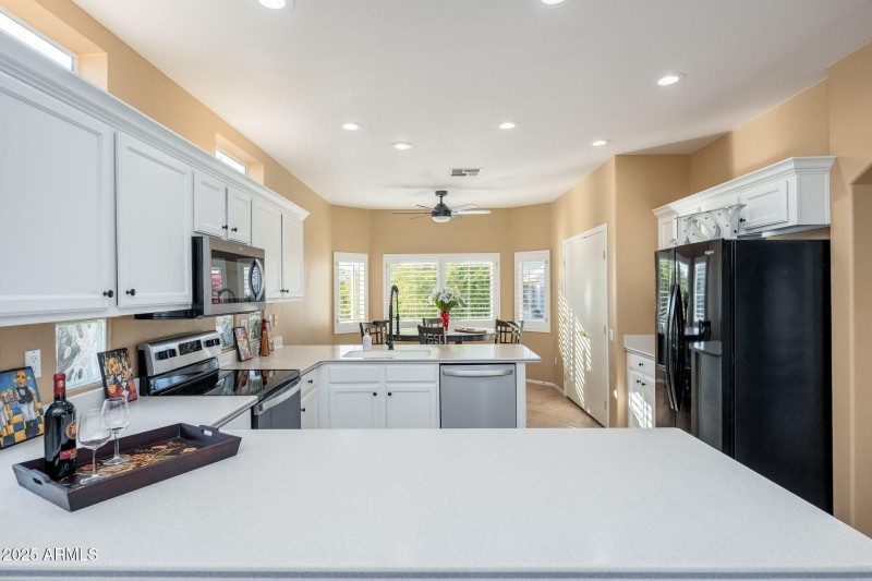 23203 N Via De La Caballa - 14