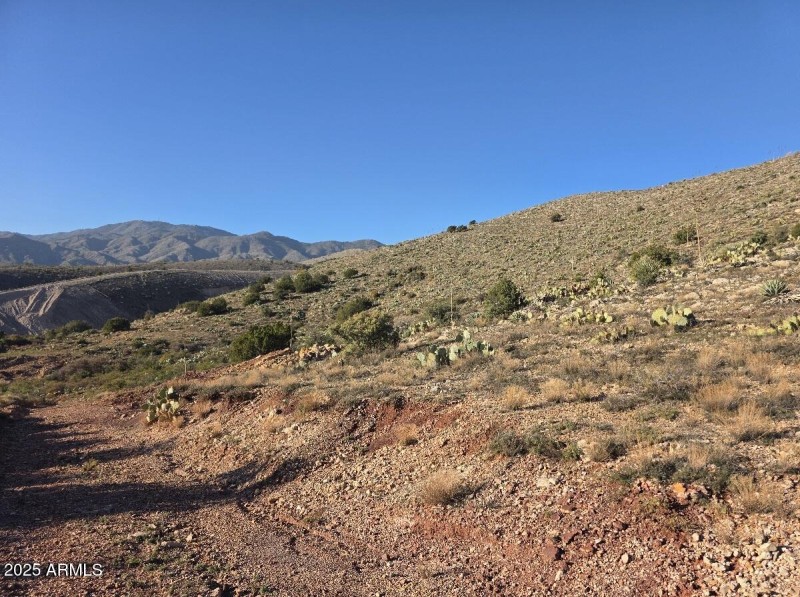 View of Pinal Mountains