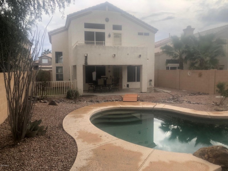 desert flower backyard 2