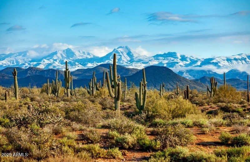 Snow capped mountains