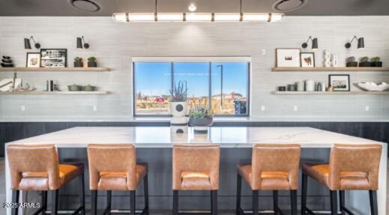 Paradisi Discovery - Community