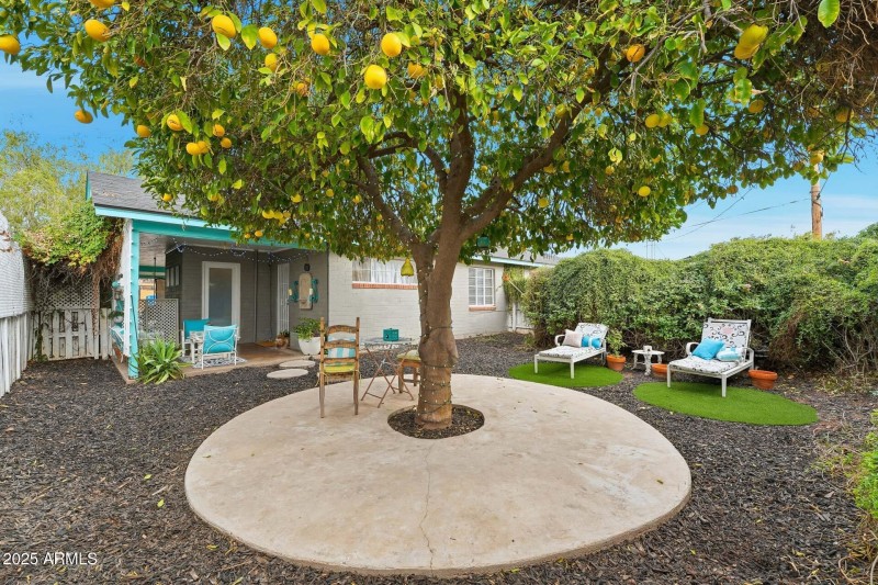 023-2341-rear-exterior